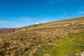 Pastures in Autumn - Plateau of Lessinia Italy Royalty Free Stock Photo