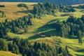 Pastures and cabins, Alpe de Siusi, Seiser Alm, South Tyrol, Italy