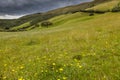 Pastures in the highlands of Ecuador Royalty Free Stock Photo