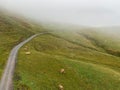 Pastures on a mountain peak