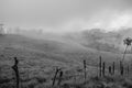 Pastures and rural areas near the tropical cloud forest of Costa Rica