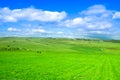 Pastures, sky and clouds