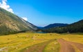 Pasturing horses in the mountains