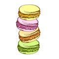 Pasty traditional sweet macaroons biscuit. Cartoon style. Isolated on a white background.