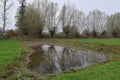 Nature developement and Pollard willows in Dutch streamvalley of the river Aa Royalty Free Stock Photo