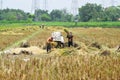 A group of farmers is working on threshing rice using a machine in the morning