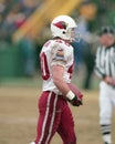 Pat Tillman, Arizona Cardinals