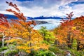 Grey Glacier, Patagonia, Chile