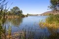 Patagonia Lake Arizona