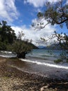 Lake in Patagonia Royalty Free Stock Photo