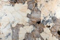Patagonia quartzite background for your personal classic interior design. Royalty Free Stock Photo