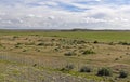 Patagonian landscape