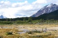 Patagonian Landscape in the National Park Los Glaciales in Patagoni Royalty Free Stock Photo