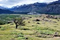 Patagonian Landscape in the national Park Los Glaciales Royalty Free Stock Photo