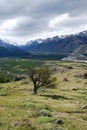 Patagonian Landscapn in the National Park Los Glaciales in Patagoni Royalty Free Stock Photo