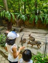 Sunway Lagoon Zoo