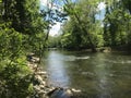 Patapsco River surrounded with lush vegetation Royalty Free Stock Photo