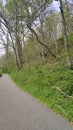 Patapsco state park trail