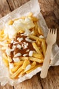 Patatje Oorlog Dutch War Fries topped with mayonnaise a thick Indonesian style peanut sauce, and raw onions closeup in the plate. Royalty Free Stock Photo