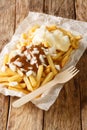 Patatje Oorlog Oven baked fries with peanut sauce and mayonnaise and raw onions closeup in the plate. Vertical