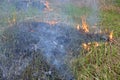 Patch Of Burning Grass