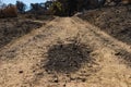 Patch of Charred Ground Royalty Free Stock Photo