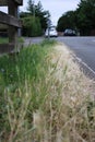 A patch of long overgrown grass one half dead one half healthy