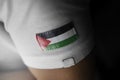 Patch of the national flag of the Palestine on a white t-shirt