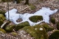 Patch of snow surrounding rocks along hiking trail at Pretty River Valley