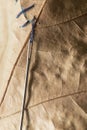 Patched dry autumn leaf with a needle stuck into it Royalty Free Stock Photo