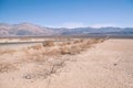 Patches of dying grass line the road in Death Valley Royalty Free Stock Photo