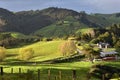 Patches of pasture and forest in New Zealand countryside Royalty Free Stock Photo