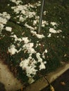 Patches of White Snow and the Green Grass Royalty Free Stock Photo
