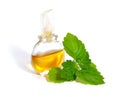 Patchouli sprig with essential oil. Royalty Free Stock Photo