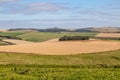 Patchwork Farmland in Sussex Royalty Free Stock Photo