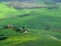 Patchwork of green cultivated fields in the Tuscan countryside and farmhouse, Tuscany, Italy Royalty Free Stock Photo