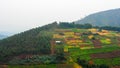 Patchwork landscape of small farming fields on a hill in Rwanda