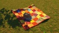 Patchwork picnic rug on green grass in park