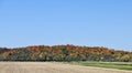 Patchwork Quilt Of Fall Foliage