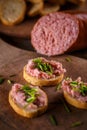 Pate with bruschetta Royalty Free Stock Photo