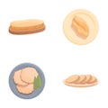 Pate meat icons set cartoon vector. Traditional foie gras dish