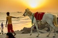 A horse riding boy searching her clients on Patenga beach, Chittagong, Bangladesh. Royalty Free Stock Photo