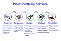 Patent Portfolio Services