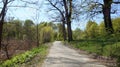 A path in an abandoned corner of an old park in the spring