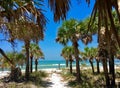 Path access to Caladesi Island Beach between Palms trees in Florida