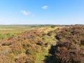 To the end of Birchen Edge and across Derbyshire Royalty Free Stock Photo