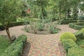 Path alley made of stone paving slabs among green bushes of grass