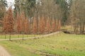 Path with alley in VlaÃÂ¡im Castle Park