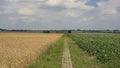 Hiking trail through a Flemish farm landscape