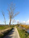 Path along the Caster river in Ovar Royalty Free Stock Photo